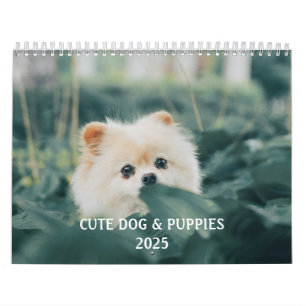 Calendrier Créez votre propre photo de chiot de chien mignon