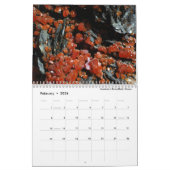 Calendrier Cristaux : La géométrie en nature (Feb 2026)