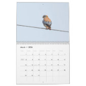 Calendrier Critère que nous voyons  (Mar 2026)