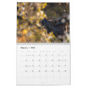 Calendrier Critère que nous voyons  (Feb 2026)