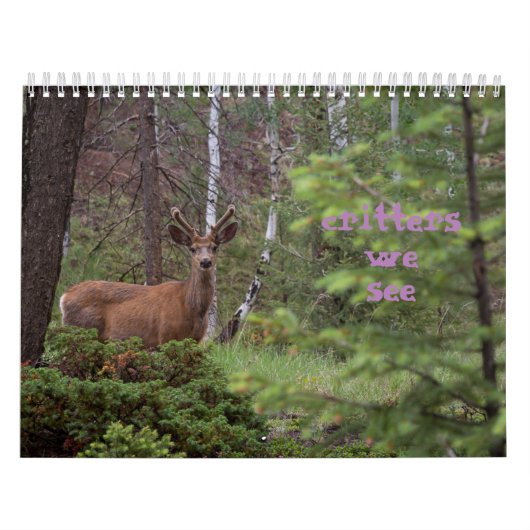 Calendrier Critère que nous voyons  (Protection)