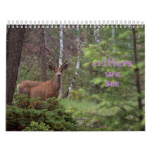 Critère que nous voyons 