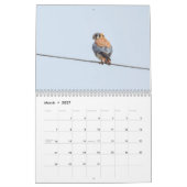 Calendrier Critère que nous voyons  (Mar 2027)