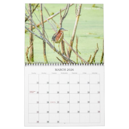 Calendrier Critters Galore ! (Mar 2026)