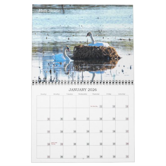 Calendrier Critters Galore ! (Jan 2026)