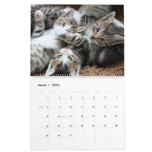 Calendrier Cuddly Cute Kitten Pet Kitty Cats Feline 2020 (Mar 2026)