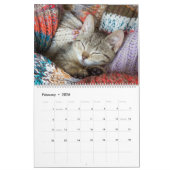 Calendrier Cuddly Cute Kitten Pet Kitty Cats Feline 2020 (Feb 2026)