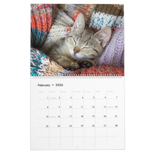 Calendrier Cuddly Cute Kitten Pet Kitty Cats Feline 2020 (Feb 2026)