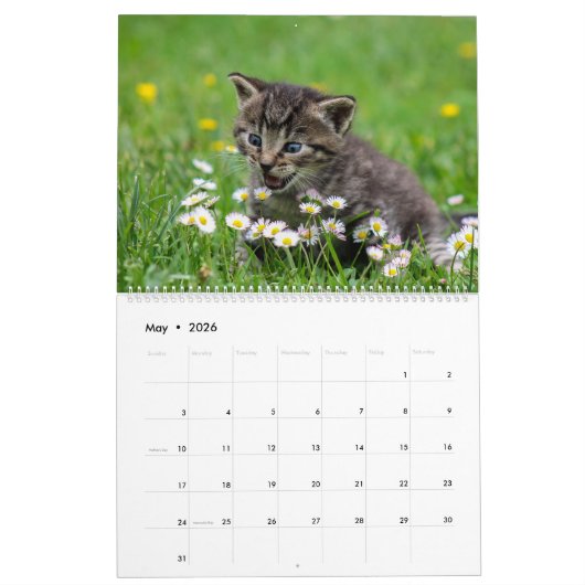 Calendrier Cuddly Cute Kitten Pet Kitty Cats Feline 2020 (Mai 2026)
