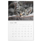 Calendrier Cuddly Cute Kitten Pet Kitty Cats Feline 2020 (Jan 2026)