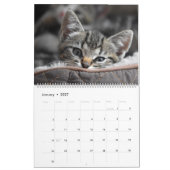 Calendrier Cuddly Cute Kitten Pet Kitty Cats Feline 2020 (Jan 2027)
