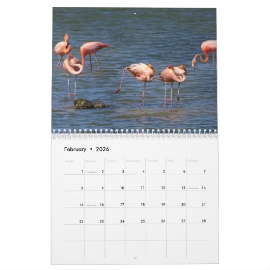 Calendrier Curaçao (Feb 2026)