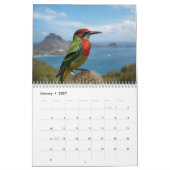 Calendrier Curacao dreaming (Jan 2027)