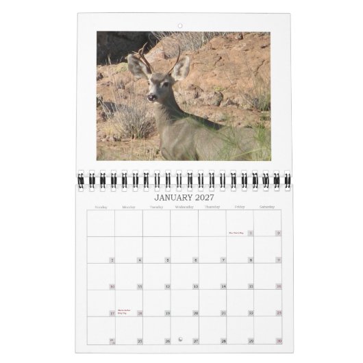 Calendrier curieux de cerfs communs (Jan 2027)