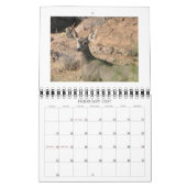 Calendrier curieux de cerfs communs (Feb 2027)
