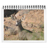 Calendrier curieux de cerfs communs (Protection)