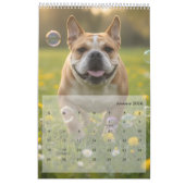 Calendrier Custom Poppy Dog 2026 Calendar (Jan 2026)