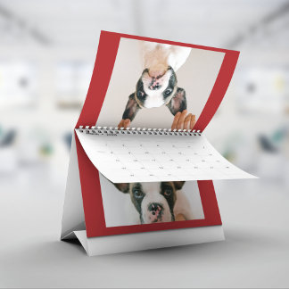 Calendrier Custom Red Pet Photo