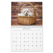 Calendrier Cute 13 Animaux de compagnie (12 + Couverture) Pho (Mar 2027)