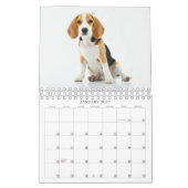 Calendrier Cute 13 Animaux de compagnie (12 + Couverture) Pho (Jan 2027)