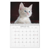 Calendrier Cute 13 Animaux de compagnie (12 + Couverture) Pho (Feb 2026)