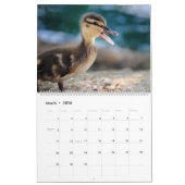 Calendrier Cute Baby Ducks 2025 Wall Calendar (Mar 2026)
