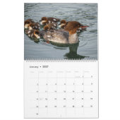 Calendrier Cute Baby Ducks 2025 Wall Calendar (Jan 2027)
