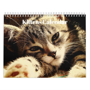 Calendrier Cute Bengal Kittens 2023