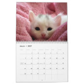 Calendrier Cute Bengal Kittens 2023 (Mar 2027)