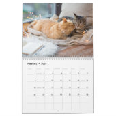 Calendrier Cute Cat & Kitten 2023 (Feb 2026)