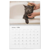 Calendrier Cute Cats personnalisable mur photo (Jan 2026)