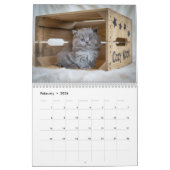 Calendrier Cute Cats personnalisable mur photo (Feb 2026)