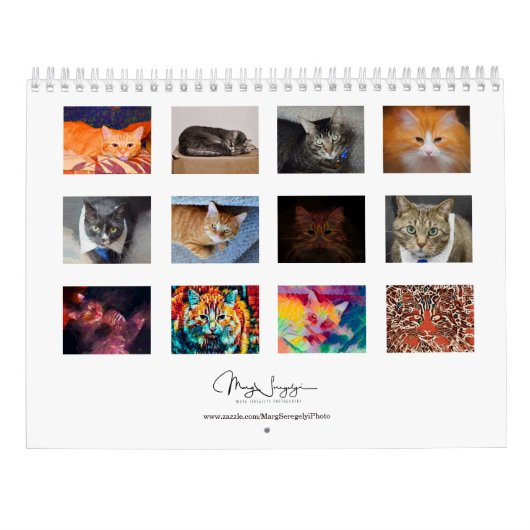 Calendrier Cute Cats Photo Art Design 2023 Mensuel (Dos)