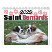 Calendrier Cute Chien race Saint Bernard Puppy (Protection)