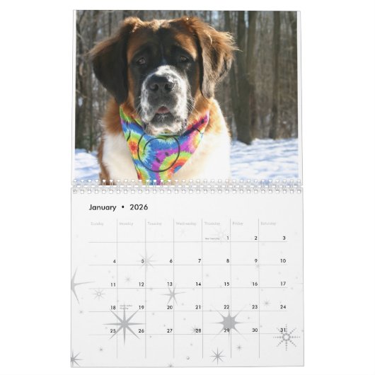 Calendrier Cute Chien race Saint Bernard Puppy (Jan 2026)