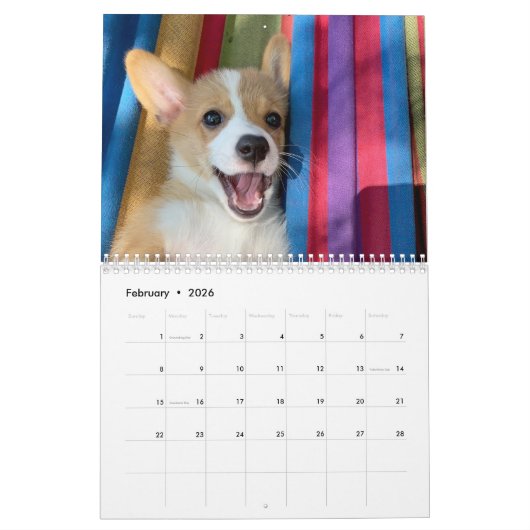 Calendrier Cute Corgi Puppies 2026 Puppy Wall (Feb 2026)