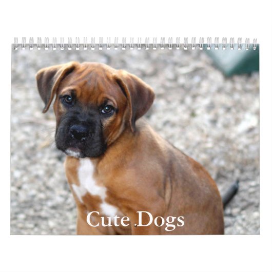 Calendrier Cute Dog Calendar (Protection)