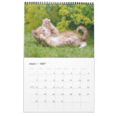 Calendrier Cute et drôle Kittens chatte photo (Mar 2027)