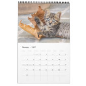 Calendrier Cute et drôle Kittens chatte photo (Feb 2027)