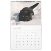 Calendrier Cute et drôle Kittens chatte photo (Jan 2027)