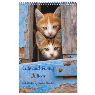 Calendrier Cute et drôle Kittens chatte photo