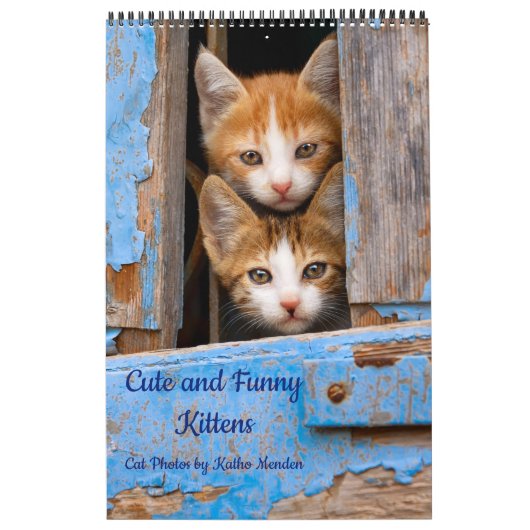 Calendrier Cute et drôle Kittens chatte photo (Protection)