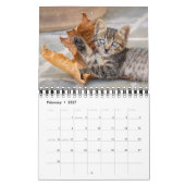 Calendrier Cute et Funny Kittens Photo de chat — (Feb 2027)
