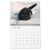 Calendrier Cute et Funny Kittens Photo de chat — (Jan 2027)