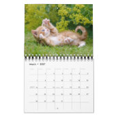 Calendrier Cute et Funny Kittens Photo de chat — (Mar 2027)