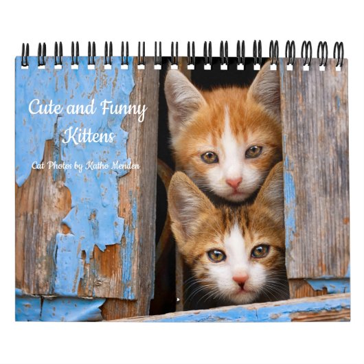 Calendrier Cute et Funny Kittens Photo de chat — (Protection)