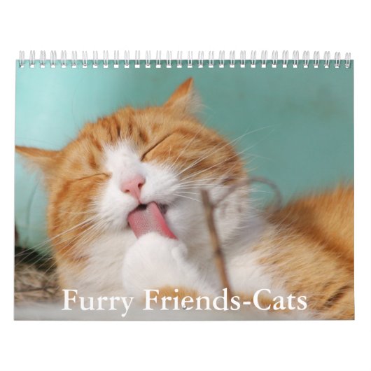 Calendrier Cute Furry Friends Cat Calendar (Protection)