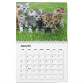 Calendrier Cute Kitten Calendar (Jan 2027)