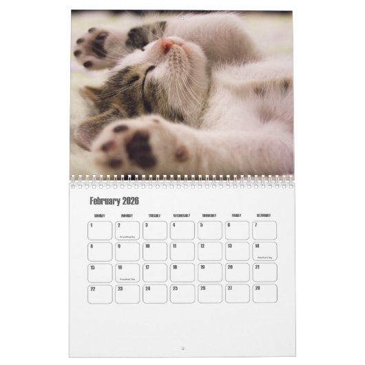 Calendrier Cute Kitten Calendar (Feb 2026)