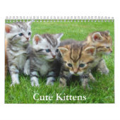 Calendrier Cute Kitten Calendar (Protection)